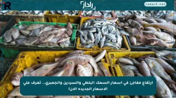 ارتفاع مفاجئ في أسعار السمك البلطي والسردين والجمبري.. تعرف على الأسعار الجديدة الآن!